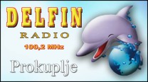 Delfin radio